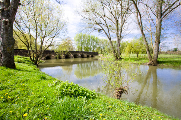 Commune de Montbizot