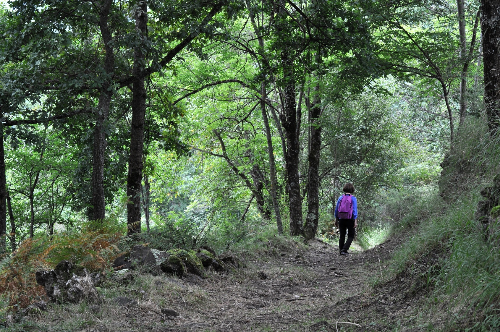 Randonnées pédestre près du Mans