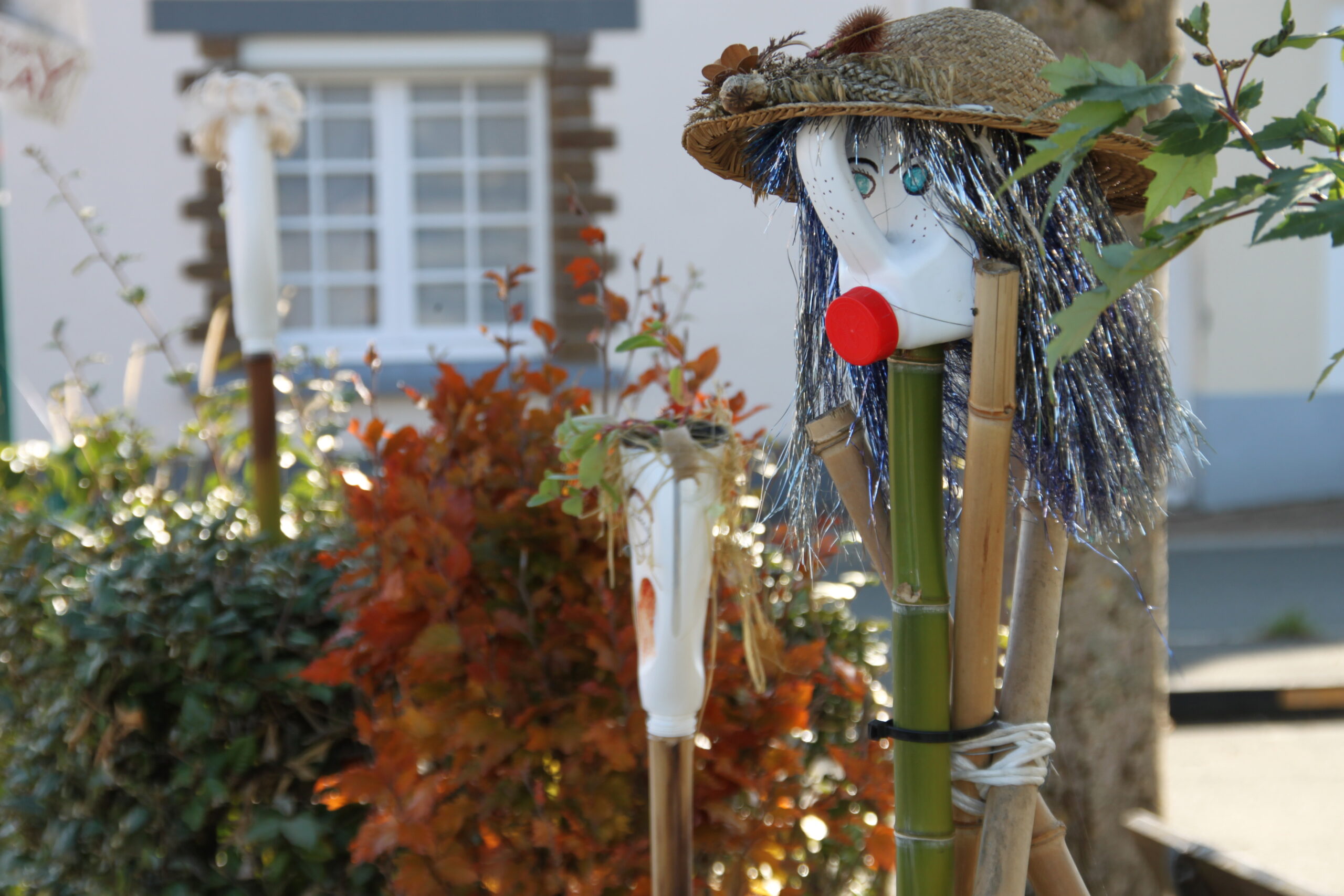 Communauté de communes Maine Cœur de